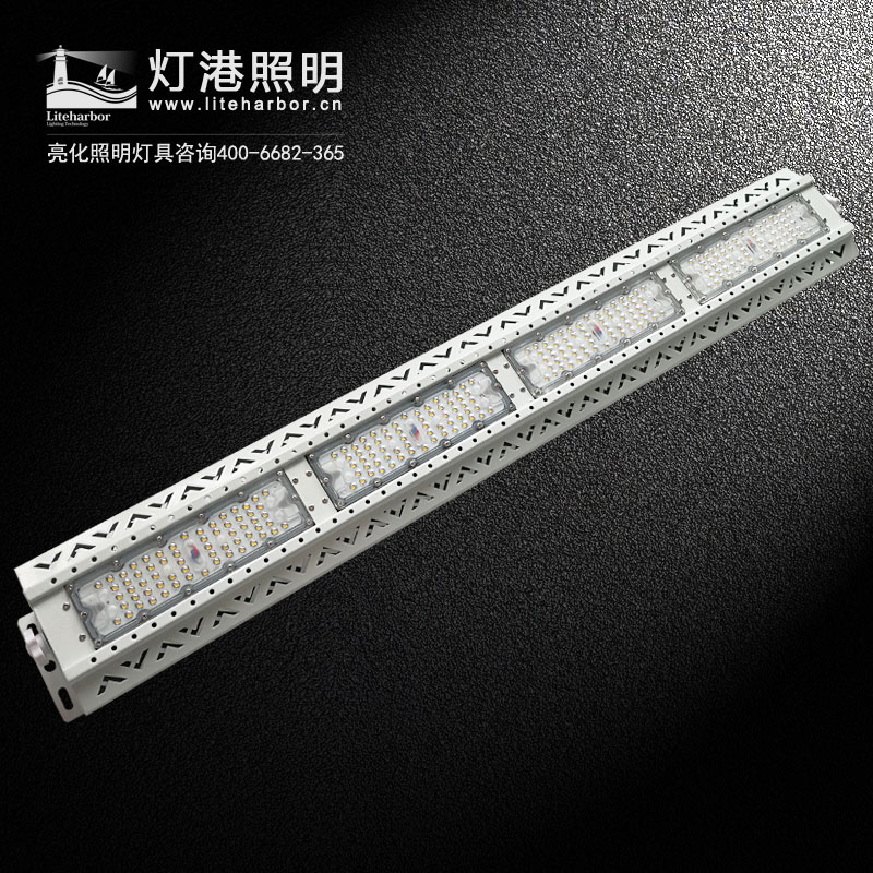 DG5206C-LED工礦燈